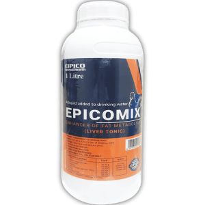 ايبيكوميكس